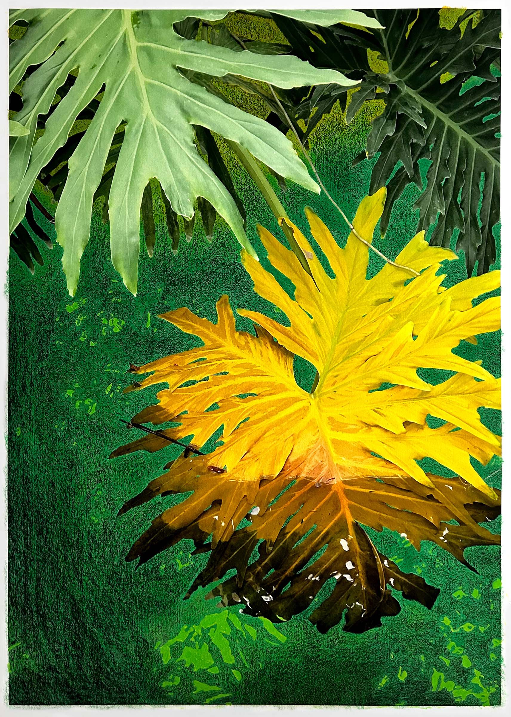 Mandy Franca, A Small Enclosed Area of Land 2, 2024, Collectie Rijksakademie van beeldende kunsten Rijksakademie-donatie-copy LR.jpg