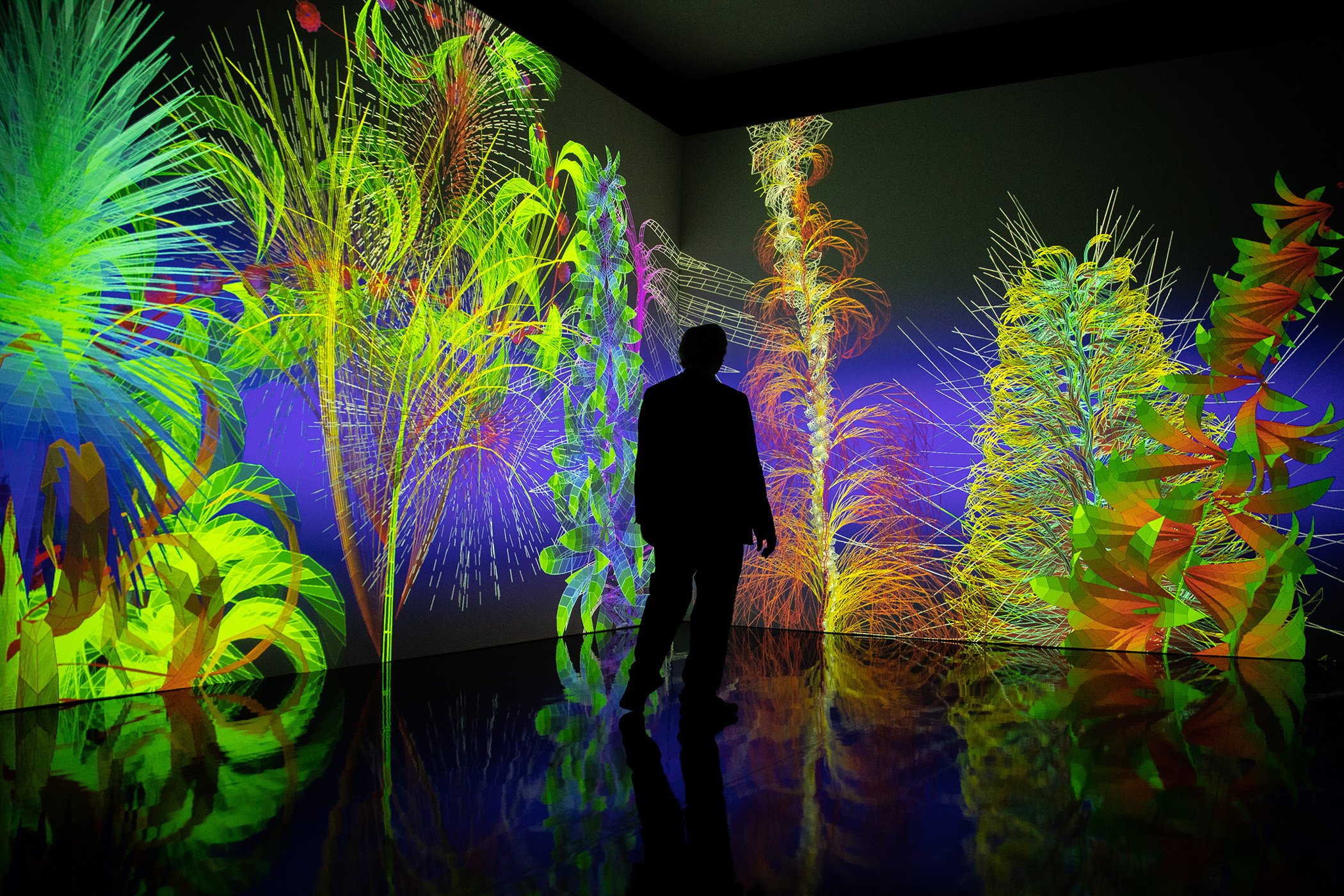 Miguel Chevalier, Extra Natural. Generatieve en interactieve virtual reality-installatie tentoonstelling Flowers Forever, Kunsthalle München, 2023 Software: Cyrille Henry, Antoine Villeret Foto: Nicolas Gaudelet c/o Pictoright Amsterdam 2026 website low res.jpg