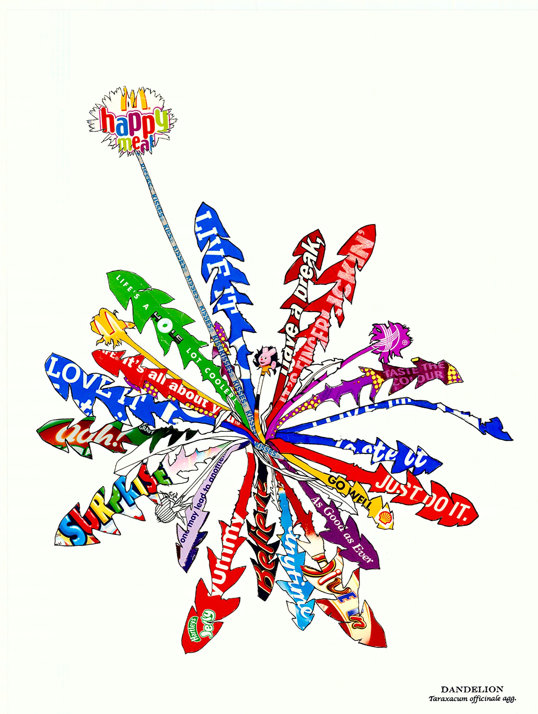 Paardenbloem, uit The Nine Wild Plants Project, 2022. Inkttekening en collage met papieren verpakkingsmateriaal op herbariumsheetpapier. Tracey Bush 8. Tracey Bush.jpg